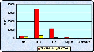 Diagrama 5