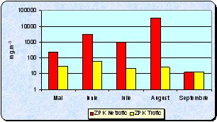 diagrama 6