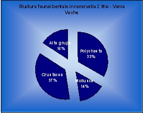 diagrama 7